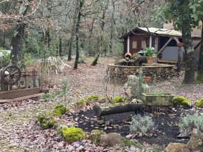 Appartement en Location à Tourves / 3 pièces 51m2